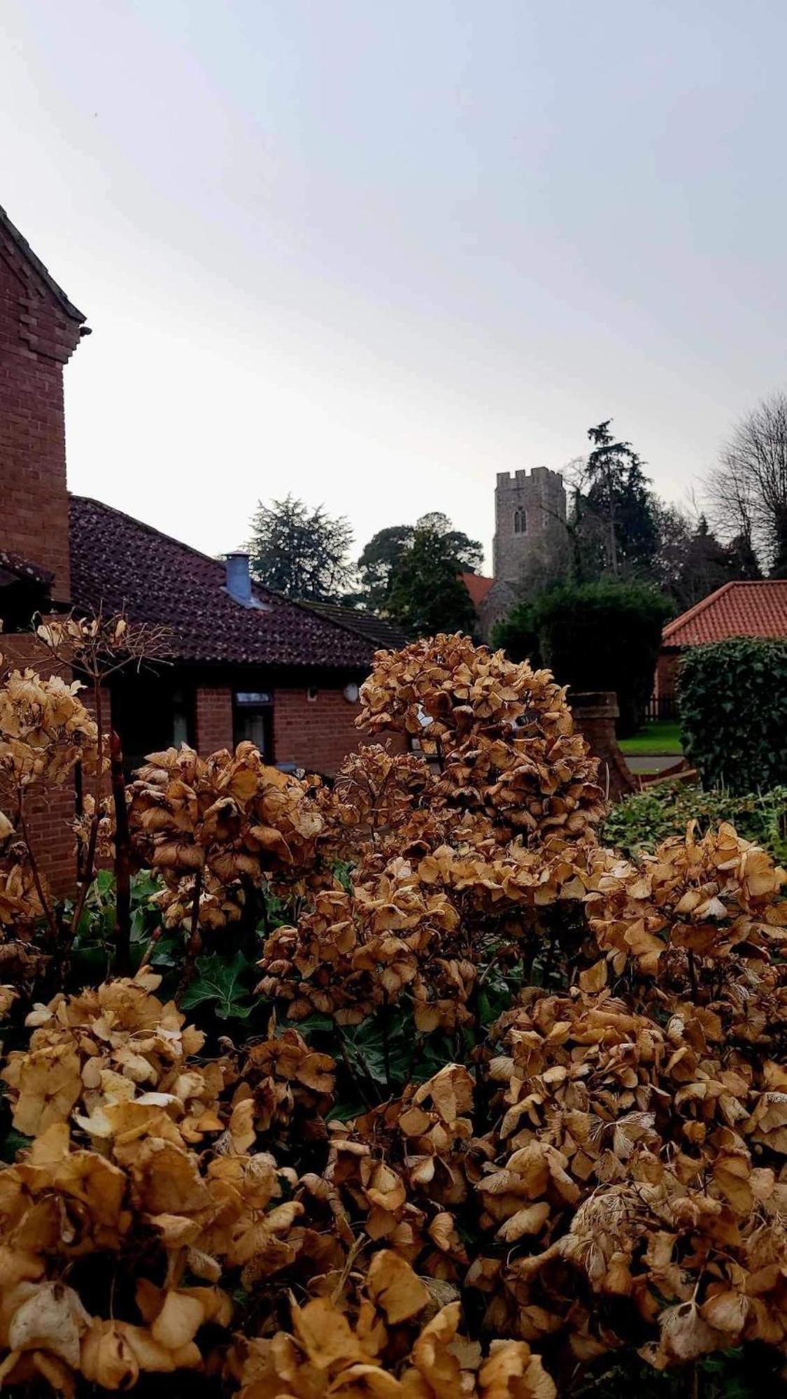 Church Farm Guest House Horsford Exteriör bild